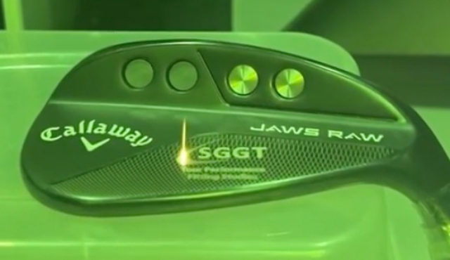 Laserengravingwedge